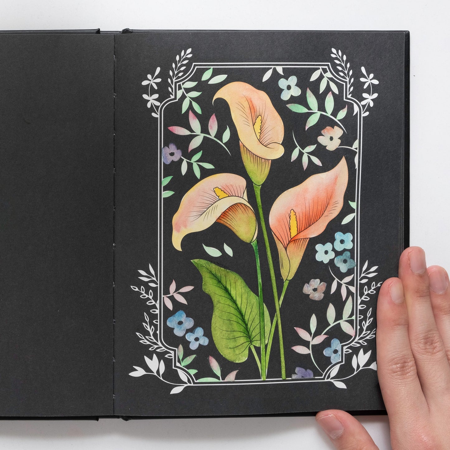 Black Watercolor Coloring Kit