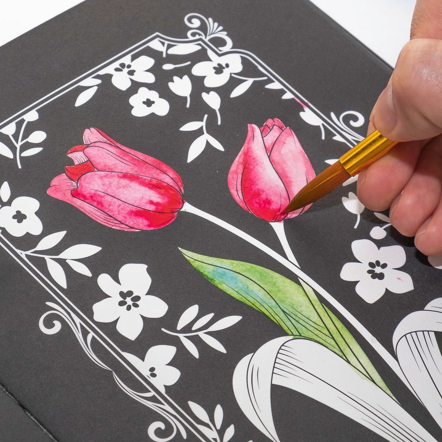 Black Watercolor Coloring Kit